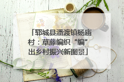 郓城县潘渡镇杨庙村：草藤编织“编”出乡村振兴新图景