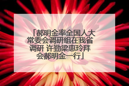郝明金率全国人大常委会调研组在我省调研 许勤梁惠玲拜会郝明金一行