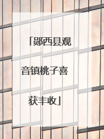 郧西县观音镇桃子喜获丰收