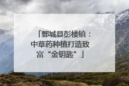 鄄城县彭楼镇：中草药种植打造致富“金钥匙”