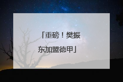 重磅！樊振东加盟德甲