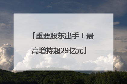 重要股东出手！最高增持超29亿元