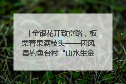 金银花开致富路，板栗青果满枝头——团风县钓鱼台村“山水生金”谱写共富新篇章