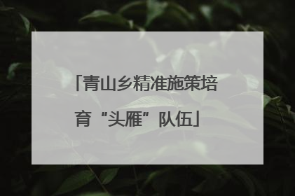 青山乡精准施策培育“头雁”队伍