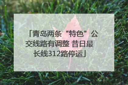青岛两条“特色”公交线路有调整 昔日最长线312路停运