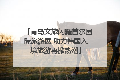 青岛文旅闪耀首尔国际旅游展 助力韩国入境旅游再掀热潮