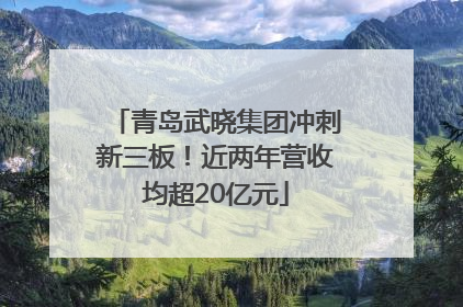 青岛武晓集团冲刺新三板！近两年营收均超20亿元