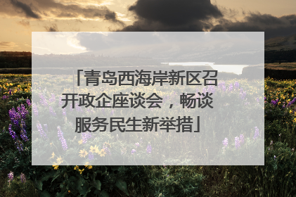 青岛西海岸新区召开政企座谈会，畅谈服务民生新举措