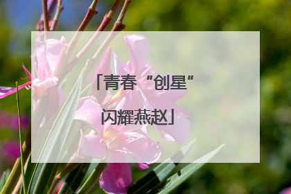 青春“创星” 闪耀燕赵