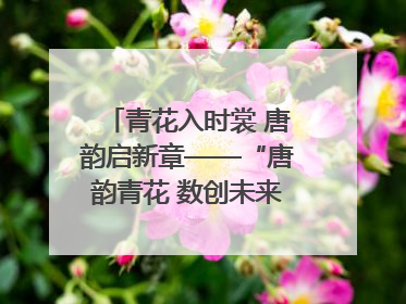 青花入时裳 唐韵启新章——“唐韵青花 数创未来”数字文创设计大赛启幕