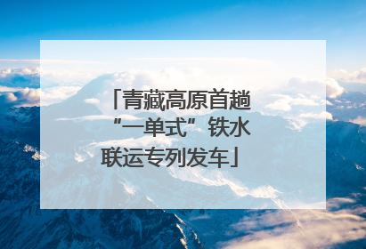 青藏高原首趟“一单式”铁水联运专列发车
