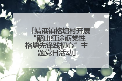 靖港镇格塘村开展“韶山红途砺党性 格塘先锋践初心”主题党日活动