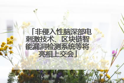 非侵入性脑深部电刺激技术、区块链智能漏洞检测系统等将亮相上交会