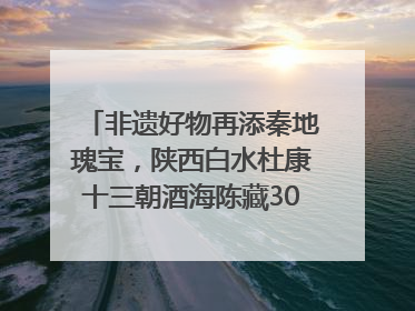 非遗好物再添秦地瑰宝，陕西白水杜康十三朝酒海陈藏30年别具一格