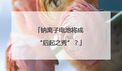 钠离子电池将成“后起之秀”？
