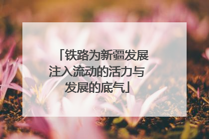 铁路为新疆发展注入流动的活力与发展的底气