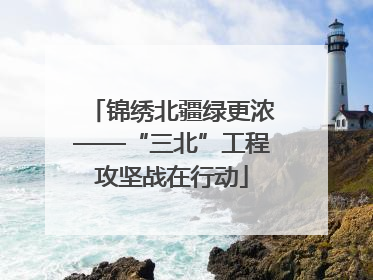锦绣北疆绿更浓——“三北”工程攻坚战在行动