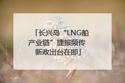 长兴岛“LNG船产业链”捷报频传 新政出台在即