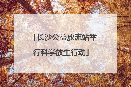 长沙公益放流站举行科学放生行动