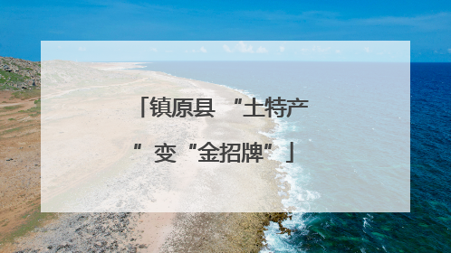 镇原县 “土特产”变“金招牌”