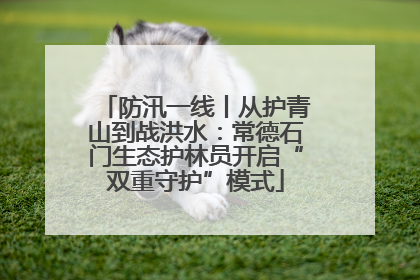 防汛一线丨从护青山到战洪水：常德石门生态护林员开启“双重守护”模式