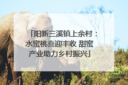 阳新三溪镇上余村：水蜜桃喜迎丰收 甜蜜产业助力乡村振兴