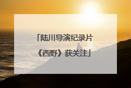 陆川导演纪录片《西野》获关注