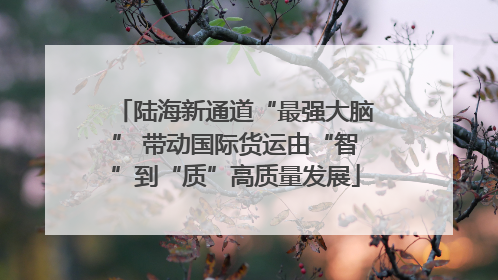 陆海新通道“最强大脑” 带动国际货运由“智”到“质”高质量发展