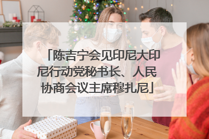 陈吉宁会见印尼大印尼行动党秘书长、人民协商会议主席穆扎尼