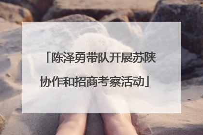 陈泽勇带队开展苏陕协作和招商考察活动