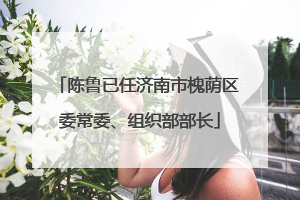 陈鲁已任济南市槐荫区委常委、组织部部长