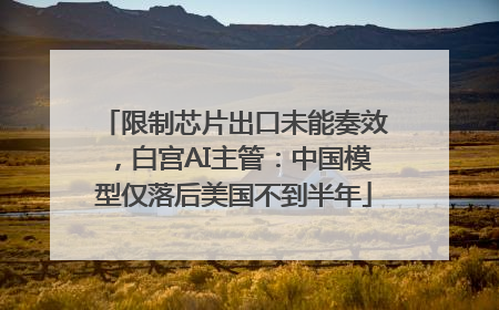 限制芯片出口未能奏效，白宫AI主管：中国模型仅落后美国不到半年