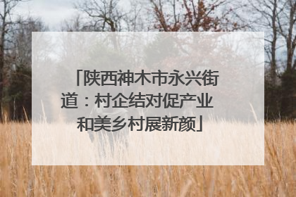 陕西神木市永兴街道：村企结对促产业 和美乡村展新颜