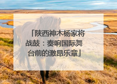 陕西神木杨家将战鼓：奏响国际舞台前的激昂乐章