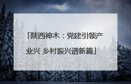 陕西神木：党建引领产业兴 乡村振兴谱新篇