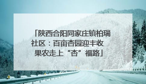 陕西合阳同家庄镇柏瑞社区：百亩杏园迎丰收 果农走上“杏”福路