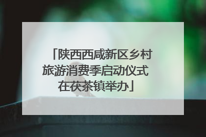陕西西咸新区乡村旅游消费季启动仪式在茯茶镇举办