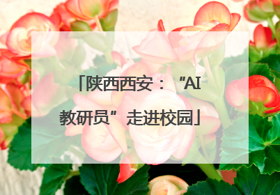 陕西西安：“AI教研员”走进校园