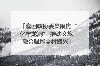 隆回政协委员聚焦“亿年龙洞” 推动文旅融合赋能乡村振兴