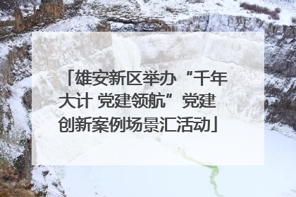 雄安新区举办“千年大计 党建领航”党建创新案例场景汇活动