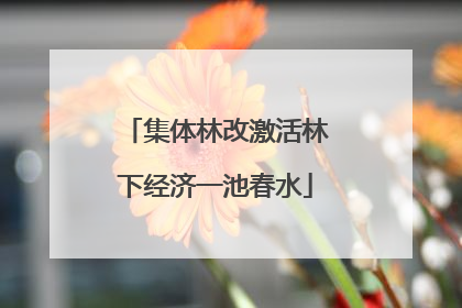 集体林改激活林下经济一池春水