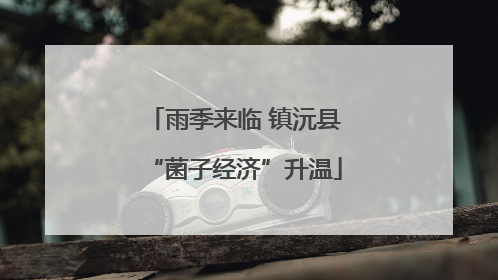 雨季来临 镇沅县“菌子经济”升温