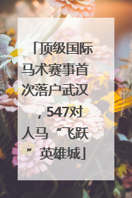 顶级国际马术赛事首次落户武汉，547对人马“飞跃”英雄城