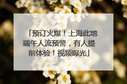 预订火爆！上海此地端午人流预警，有人提前体验！视频曝光