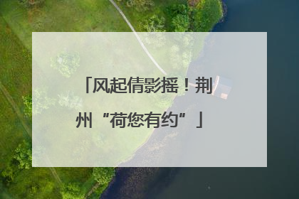 风起倩影摇！荆州“荷您有约”