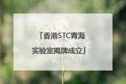 香港STC青海实验室揭牌成立