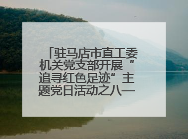 驻马店市直工委机关党支部开展“追寻红色足迹”主题党日活动之八——鏖战独树镇