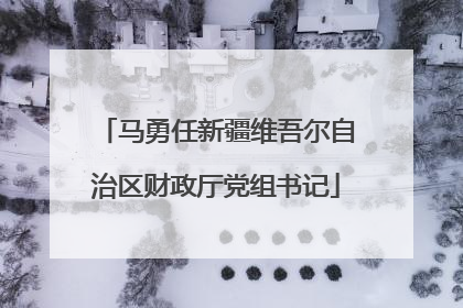 马勇任新疆维吾尔自治区财政厅党组书记
