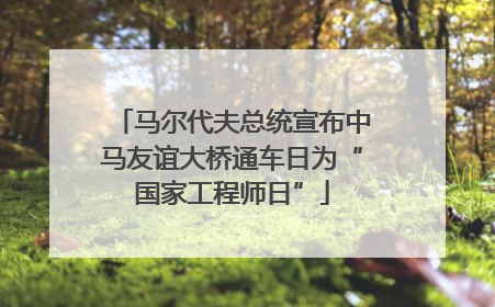 马尔代夫总统宣布中马友谊大桥通车日为“国家工程师日”