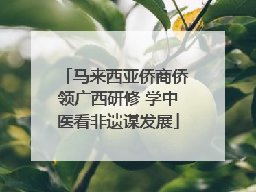 马来西亚侨商侨领广西研修 学中医看非遗谋发展
